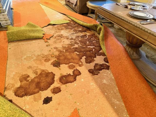 Demoing old carpet in Powder Springs, GA so we can install new subfloor and LVP.