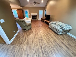 Luxury Vinyl Plank installed throughout several rooms of this home in Senoia, GA. 