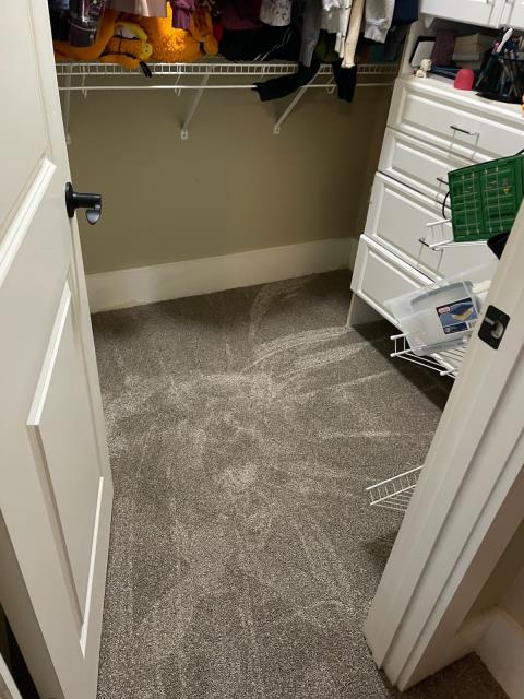 We recently completed a carpet installation job in Newnan, GA. The project involved installing new carpet in closets and bedrooms. The installation process was meticulous, and the team worked hard to ensure that the carpet was installed correctly and securely. I'm proud of the work our team did and the positive feedback I received from the homeowners. 
We recently completed a carpet installation job in Newnan, GA. The project involved installing new carpet in closets and bedrooms. The installation process was meticulous, and the team worked hard to ensure that the carpet was installed correctly and securely. I'm proud of the work our team did and the positive feedback I received from the homeowners.