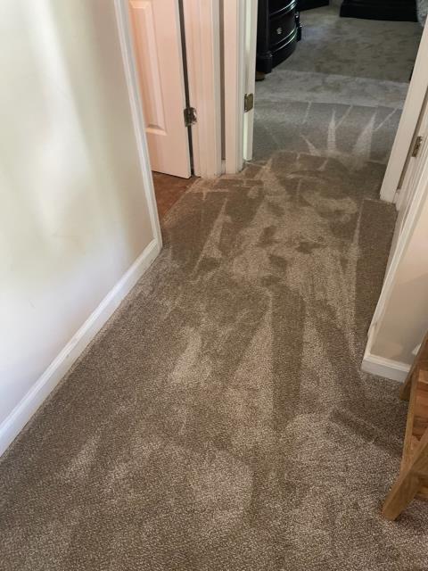 This client in Dallas, GA was in need of a small subfloor repair - we were able to pull back her carpet and pad, replace the damaged subfloor and get everything installed back in a day.