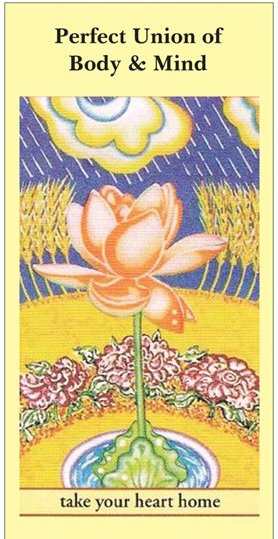 Perfect Union of Body & Mind