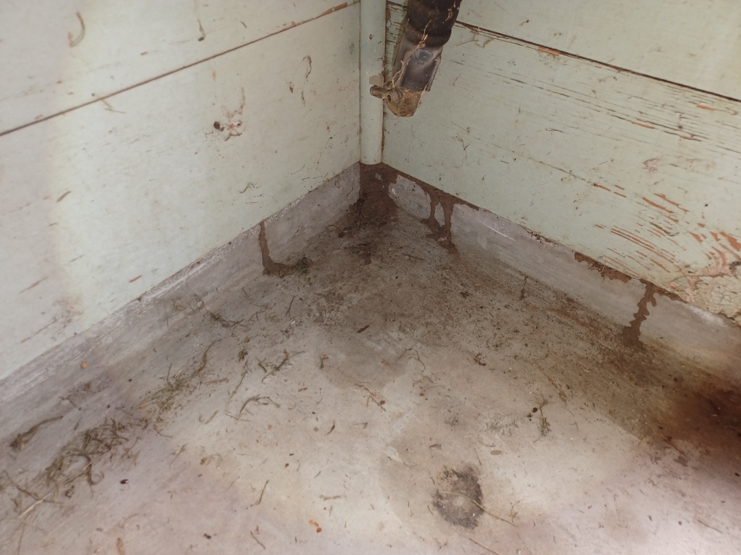 Beaumont Texas Pest Control & Termite Control Services Free Estimates