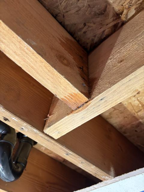 Call out to leak from upstairs to downstairs. Water restoration already had opened ceiling. Performed shower pan test on hallway shower and determined shower pan is the source of the leak. Shower will need to be remodeled with new shower pan to eliminate leak.