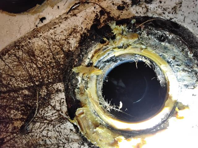 Hydro Jett: hydro Jett sewer main through 3 in clean out on outside wall to cut massive roots also had to Pull and reset toilet to remove remaining root intrusion. 
