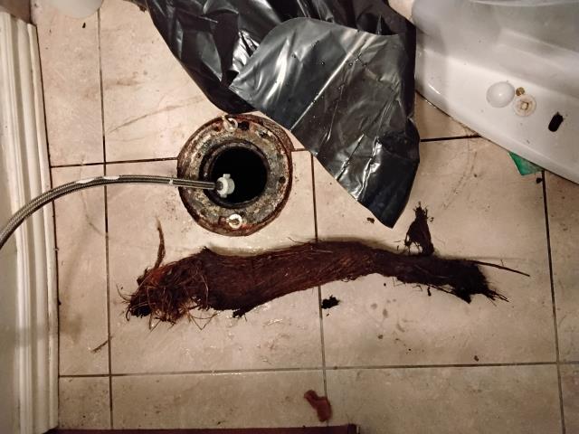 Hydro Jett: hydro Jett sewer main through 3 in clean out on outside wall to cut massive roots also had to Pull and reset toilet to remove remaining root intrusion. 