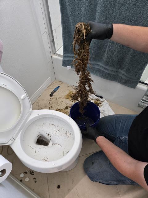 Toilet clog. Ran hand auger and pulled back roots, unable to clear from top of toilet. Pulled up toilet to find roots coming around the flange and into the closet bend. Ran auger through closet bend and cleared stoppage. Reset toilet with new wax ring and closet bolts. 