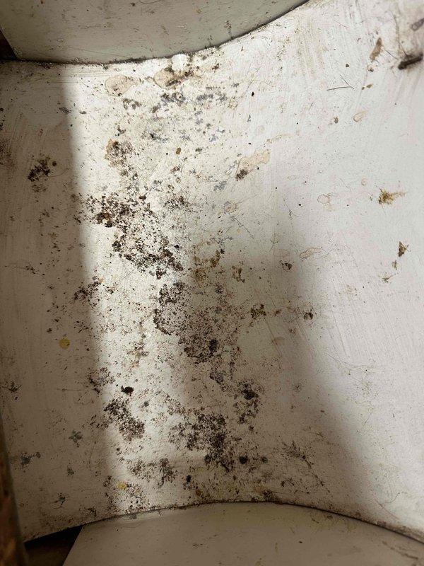 Completed comprehensive duct cleaning service with thorough cleaning of ventilation system. Discovered and removed significant accumulation of debris, mold growth, and contaminants from ductwork as documented in photos. Service included sanitization of affected areas to eliminate potential air quality concerns.