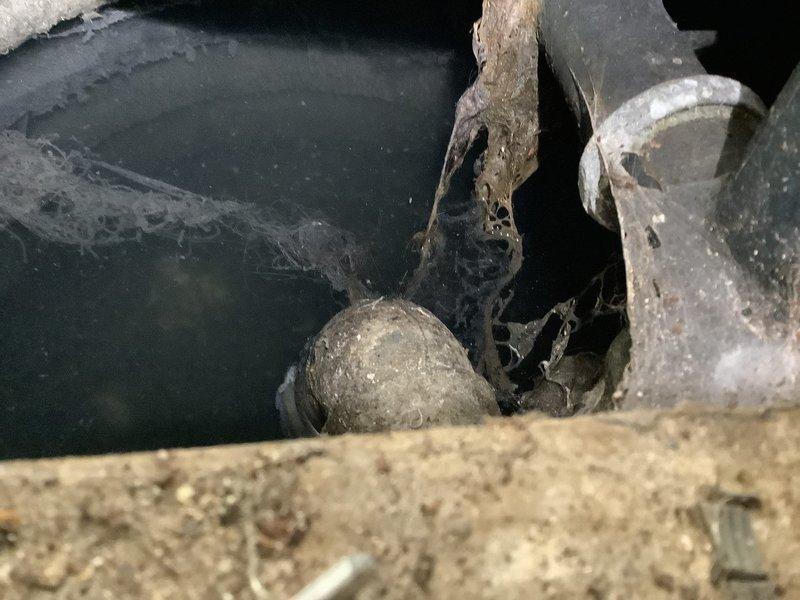 Inspected basement bathtub leaking from underneath. Discovered standing water with significant corrosion on pipes below the tub. Documented condition with photos showing deteriorated plumbing components and drain assembly. Reported findings to landlord for approval of necessary repairs.