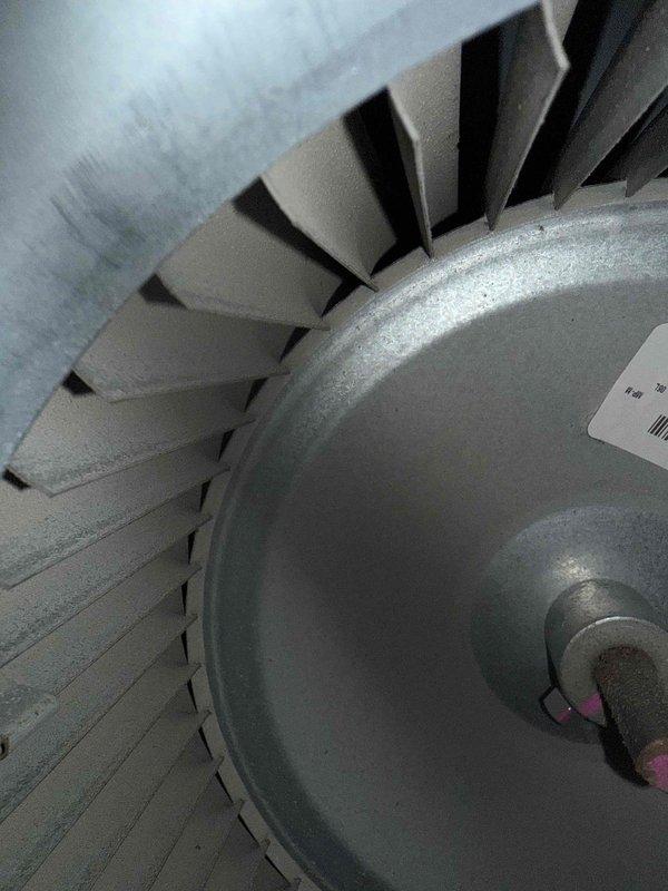 Performed winter tune-up service on 8-year-old furnace. Inspected and cleaned blower wheel assembly which showed minimal dust accumulation. Examined control board with GOODSKY relay components for proper functionality; all electrical connections and components were found in good working condition with no signs of wear or damage.