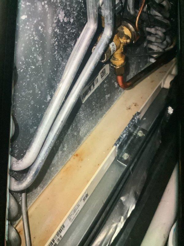 Performed scheduled MVP furnace maintenance. Conducted gas pressure test with digital gauge, obtaining reading of 1.55" WC. Inspected gas valve assembly, electrical terminals, and associated plumbing components. All connections, valves, and fittings found in proper working condition with no leaks detected.