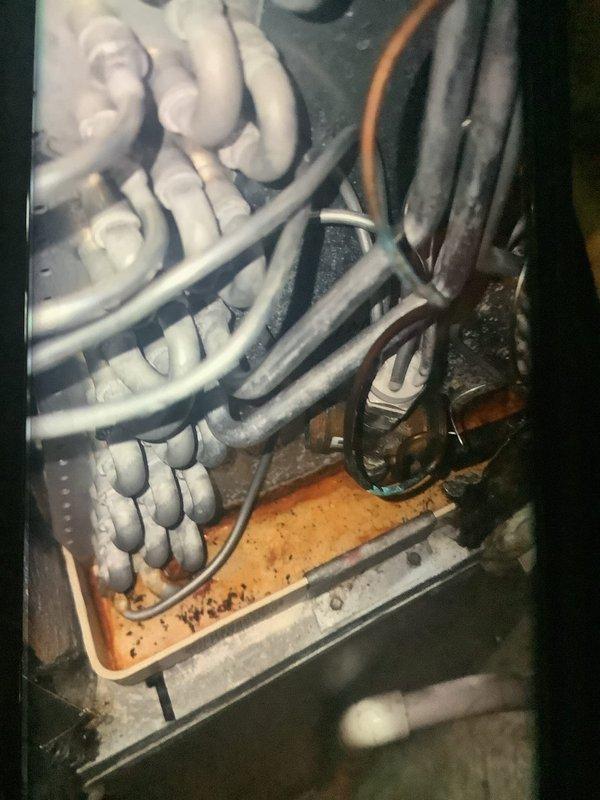 Performed maintenance on 7-year-old Lennox furnace system. Identified significant frost accumulation on evaporator coils and corrosion in drain pan, indicating potential refrigerant or airflow issues. Inspected outdoor unit connection to house as requested by customer and resealed penetration points to prevent pest intrusion.