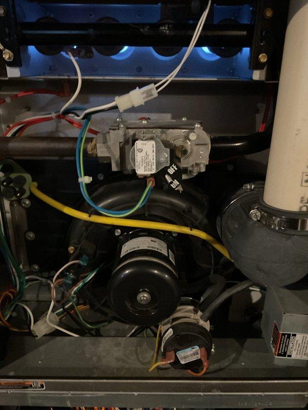Performed annual furnace maintenance service for MVP member. Inspected and tested electrical components including circuit board, motor assembly, and gas valve. System operational with all connections secure and functioning properly.