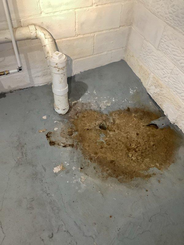 Responded to service call for main drain backup with slow drainage. Upon inspection, discovered significant blockage in basement drain line with evidence of water seepage and rust staining around PVC drain pipe. Successfully cleared obstruction using drain snake/cable, removing accumulated debris and organic matter that was causing the blockage.