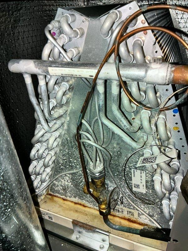 Performed standard tune-up on 5-year-old furnace system. Inspected evaporator coil assembly for proper operation and condensation drainage. Accessed control board with hex tool to verify electronic components and connections were functioning correctly. System is now operating within normal parameters.