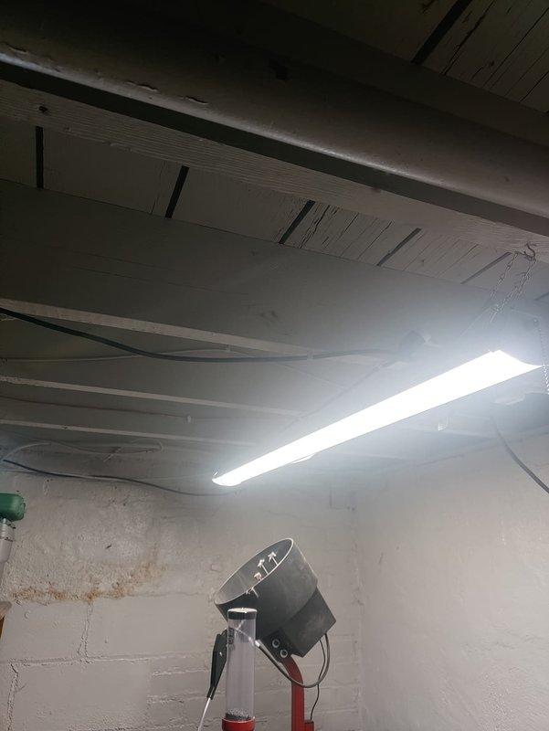 Conducted assessment for additional electrical outlets in unfinished basement area. Evaluated existing electrical infrastructure in utility space with exposed ceiling and concrete block walls. Determined suitable locations for new basement outlets and two exterior outlets as requested by customer.