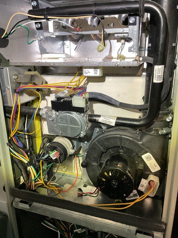 Performed comprehensive furnace inspection as requested. Removed access panels to examine internal components including blower motor assembly, gas valve, and control board. All electrical connections, wiring harnesses, and mechanical parts were found in normal operating condition with no signs of damage or unusual wear.