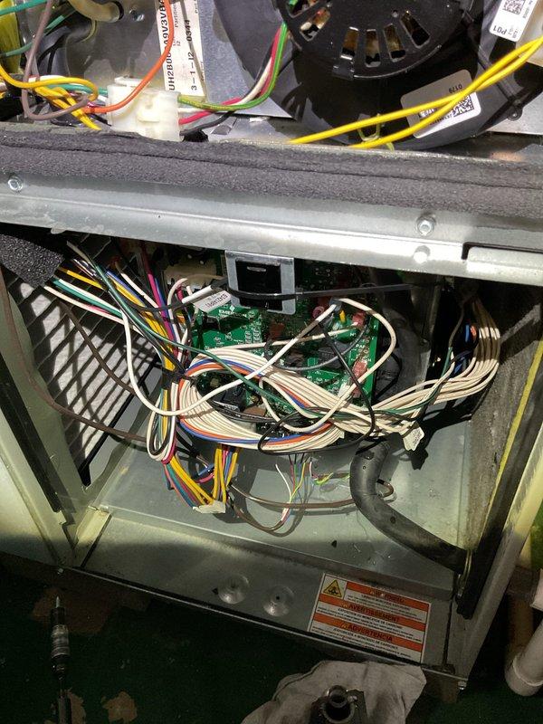 Performed comprehensive furnace inspection as requested. Removed access panels to examine internal components including blower motor assembly, gas valve, and control board. All electrical connections, wiring harnesses, and mechanical parts were found in normal operating condition with no signs of damage or unusual wear.