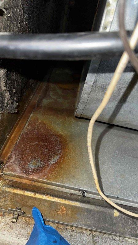 Responded to emergency call for non-operational furnace. Inspection revealed significant rust and corrosion on internal components, particularly on the metal panel housing. Replaced damaged blower motor assembly, reconnected electrical wiring (red, yellow, white, green), and restored system functionality.