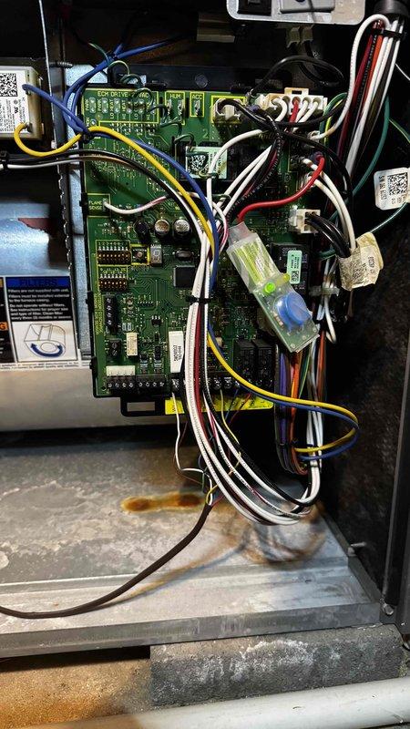 Responded to no heat call for Lennox furnace. Diagnosed issue with control board showing signs of corrosion. Inspected electrical connections and wiring harness. System restored to proper operation after cleaning terminals and securing loose connections.