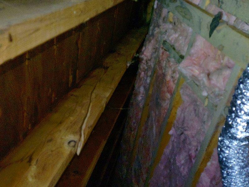 Successfully installed two customer-provided bathroom exhaust fans with proper venting, one vented to the exterior and one with repaired existing ventilation. Installed range hood above oven with power connected to the light switch circuit, and added a GFCI-protected exterior outlet on the front facade of the residence.