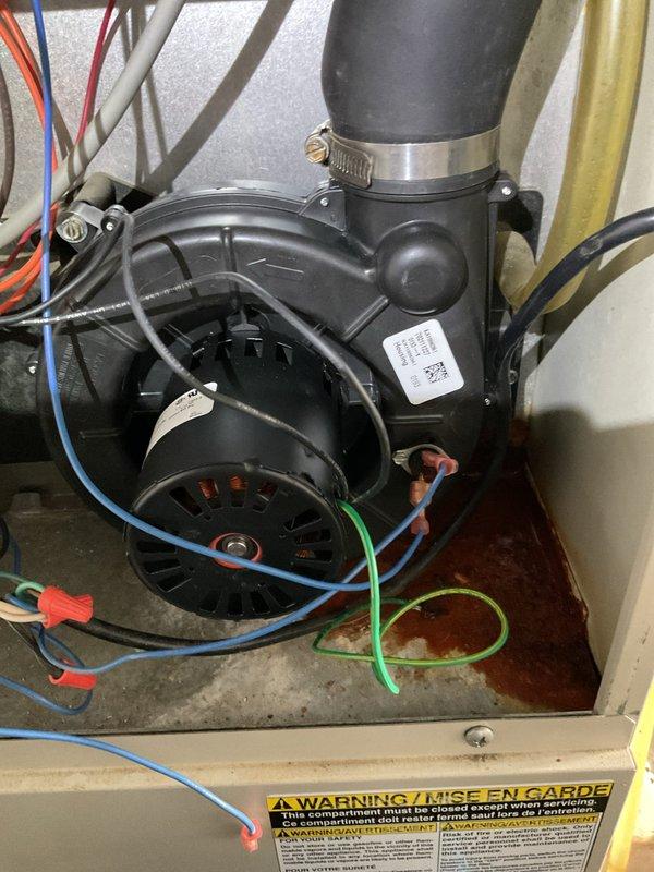 Responded to service call for Tappan furnace with heating failure and diagnostic code of two red flashes. Inspected blower motor assembly and identified faulty draft inducer motor with visible corrosion at base. Replaced draft inducer motor assembly, reconnected wiring harness, and verified proper venting through PVC exhaust. System now operating normally with no error codes.
