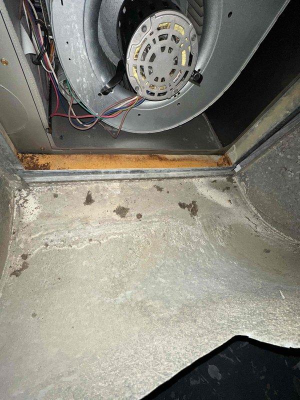 Performed comprehensive duct cleaning service on a 14-vent system. Inspection revealed significant rust accumulation in the air handler drain pan area, indicating potential moisture issues. Thoroughly cleaned all ductwork including main supply lines marked with "Spirolite L.F.Q." manufacturer stamps, which were in satisfactory condition with no structural damage observed.