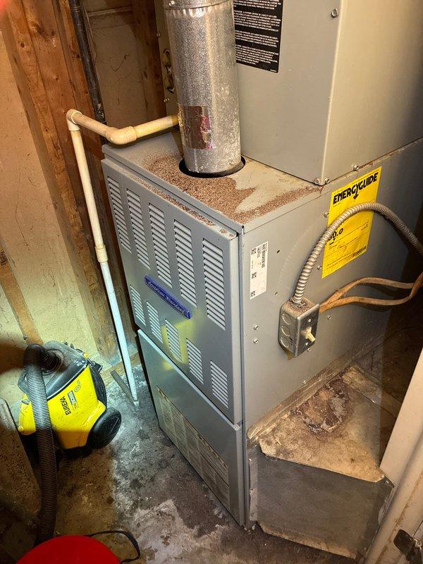Performed scheduled maintenance on 11-year-old furnace. Inspected system components, cleaned accumulated dust from unit surfaces, and tightened loose hardware with hex key. System is operational with normal wear consistent with age.