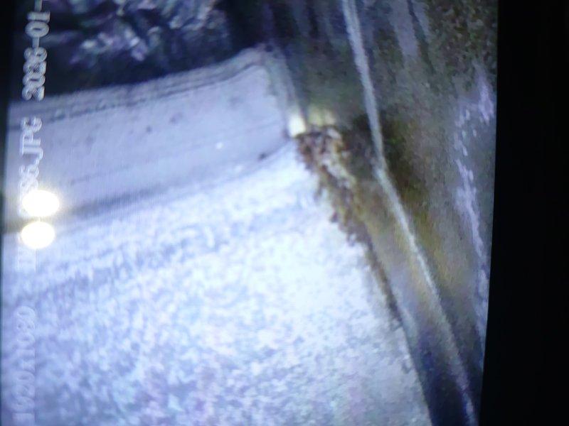 Responded to no-heat complaint at residential property with approximately 8-year-old furnace. Upon inspection, found significant dust and lint accumulation in the blower wheel assembly causing restricted airflow. Cleaned blower wheel and housing, restoring proper operation and heat output.