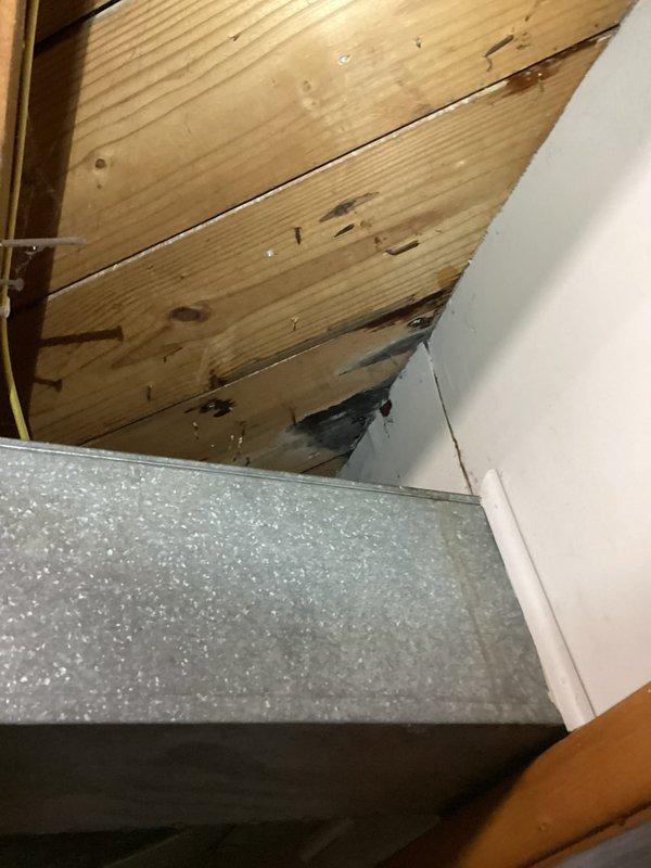 Responded to water leak complaint from air ducts on 5-year-old Lennox system. Inspection revealed condensate drain line blockage causing water backup and leakage through ductwork. Cleared obstruction in drain line and verified proper drainage. Also observed minor water damage to ceiling joists near the unit which was documented. System now functioning properly with no leaks present.