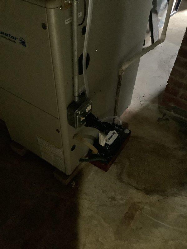 Completed estimate for furnace replacement due to heat exchanger failure. Existing Bryant/Carrier unit (89k BTU) shows significant corrosion and rotted heat exchanger requiring full system replacement. Inspected current venting configuration and condensate drainage system in utility area for replacement planning.