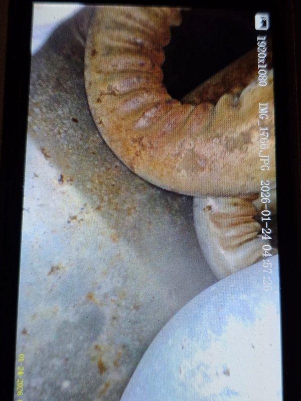 Responded to no heat call where furnace blower was running but flames would not ignite. Diagnostic inspection revealed deteriorated flexible ductwork connections and performed electrical testing on blower motor assembly. Traced issue to faulty ignition system and restored proper heating function.