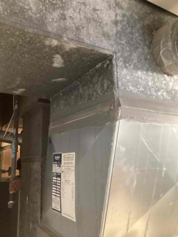 Completed MVP furnace maintenance service on customer's HVAC system. Inspected air handler/furnace unit and associated ductwork in utility area, confirming proper installation and connection integrity. All components were found to be in satisfactory working condition with no immediate issues requiring attention.