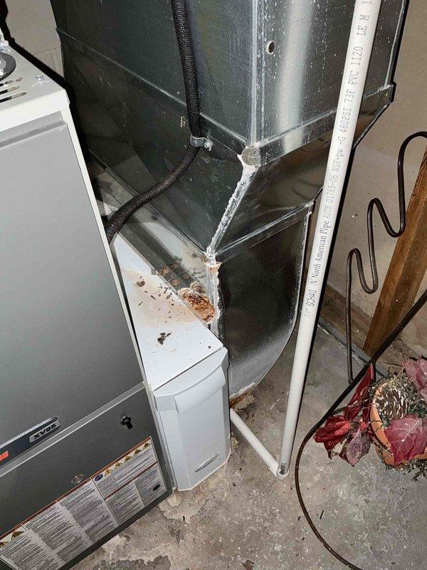 Conducted comprehensive evaluation of existing HVAC system for potential furnace replacement and possible AC installation. Inspected current setup in utility area including furnace unit with associated PVC venting, ductwork connections, and air handler components. Documented condition of galvanized metal duct system, humidifier/condensate pump, and ventilation infrastructure to develop appropriate replacement recommendations.