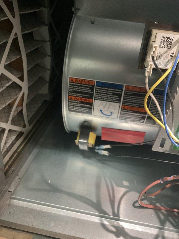 Performed scheduled furnace tune-up service. Inspected blower wheel assembly for proper operation and cleanliness. Examined motor connections, verified secure electrical wiring to control board, and confirmed all safety labels were intact and legible.