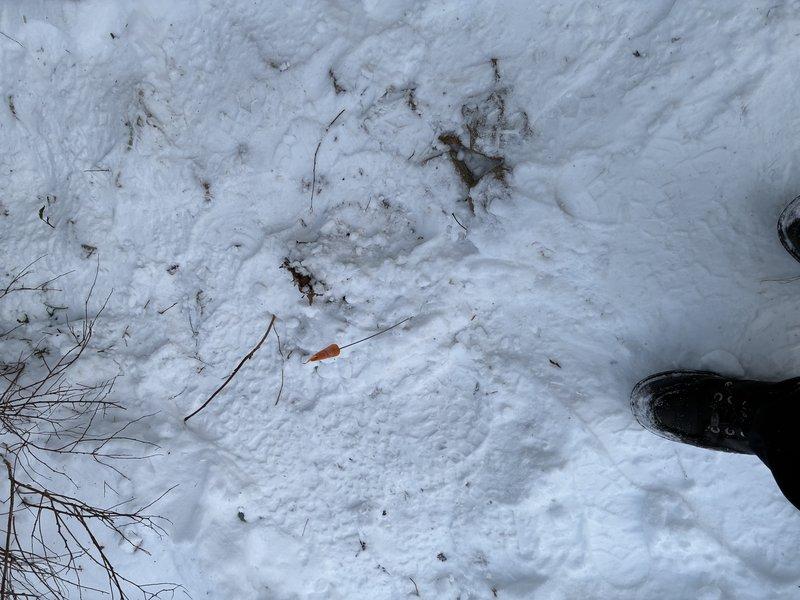 Completed service upgrade replacing 100 amp exterior service with meter main combo and updated home's grounding system. Properly separated grounds and neutrals at panel. Troubleshooting was performed on circuit with missing hot connection after customer reported power loss to multiple lighting sections. Installed GFCI protection in required locations including three in kitchen, washer outlet, and bathrooms.