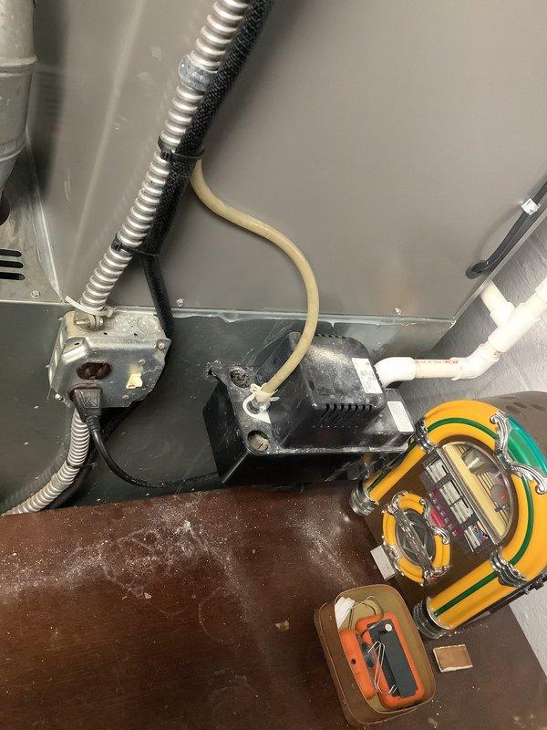 Responded to service call regarding 30-year-old furnace with squealing blower motor. Diagnostic testing confirmed motor failure requiring replacement. Noted existing Rheem system with connected Honeywell Home control panel showing significant age-related wear. Recommended complete unit replacement due to component age and potential for cascading system failures.