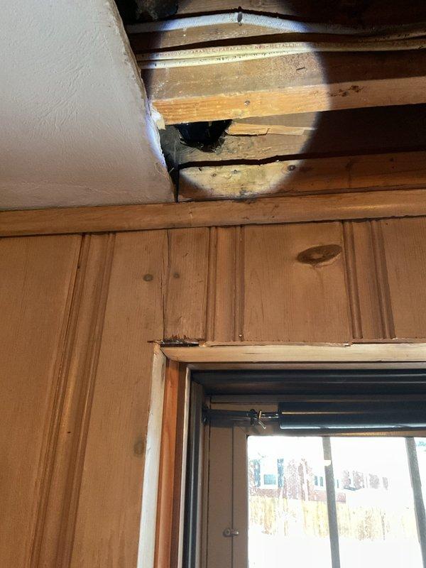 Responded to service call for kitchen sink leak affecting lower level. Inspection revealed water damage to ceiling/wall with exposed wooden framing. Examined under-sink plumbing system including PVC drain assembly and supply lines. Repaired leaking connection to prevent further water infiltration and structural damage.