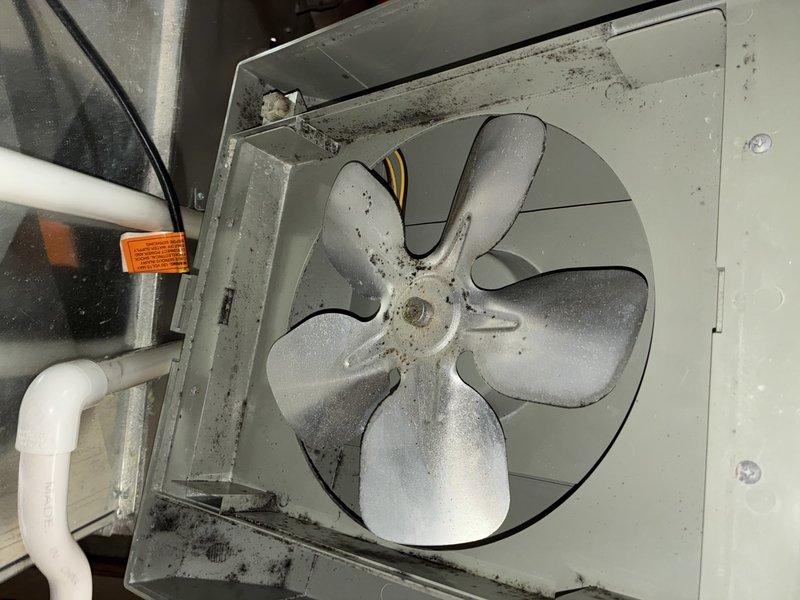 Performed scheduled maintenance on 5-year-old gas furnace. Inspected system components including fan assembly which showed significant dust accumulation on blades and housing. Cleaned fan unit to improve airflow and system efficiency. Checked all electrical connections and verified proper operation of heating cycle.