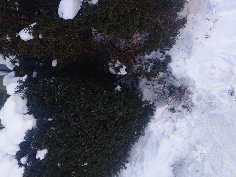 Completed installation of a 150 amp electrical panel with 30 spaces, including AC circuit with proper grounding rod. Service equipment was mounted on exterior wall with meter installed below the panel. Work was performed during winter conditions with all components properly secured and connected.