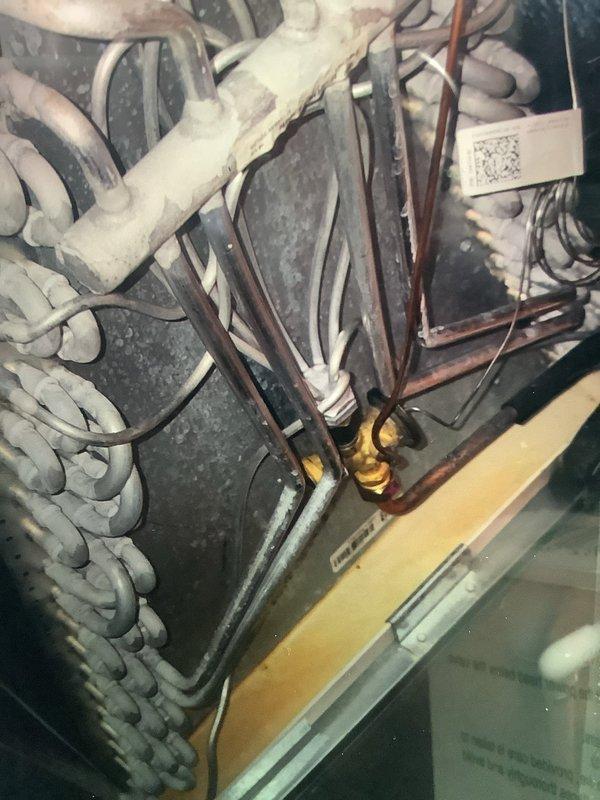 Completed scheduled furnace tune-up on 4-year-old system. Inspected refrigerant lines, evaporator coil assembly, and ventilation components. System functioning properly with no issues detected.