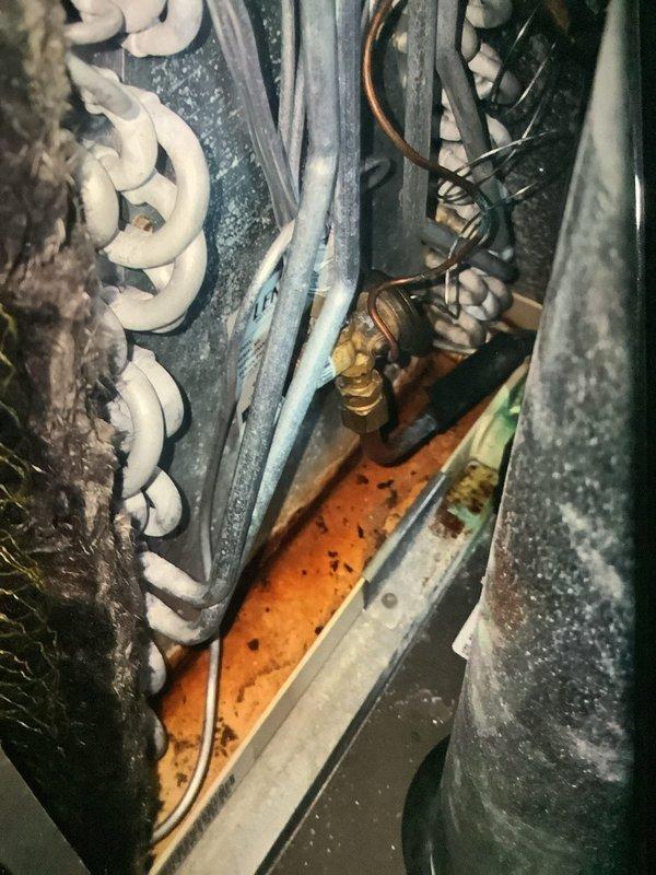 Performed scheduled MVP heating maintenance service on 6-year-old system. Inspected evaporator coils showing dust accumulation and identified significant rust/corrosion in the drain pan. Examined humidifier pad and connecting components, noting condition of brass fittings and copper tubing.