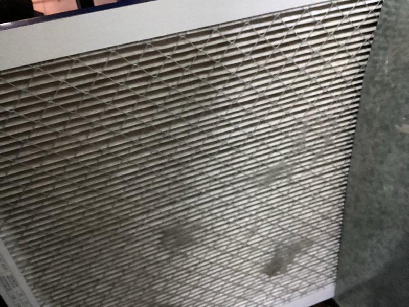 Performed scheduled maintenance on customer's furnace per MVP agreement. Inspected filter and found significant dust accumulation and potential mold growth requiring replacement. Examined internal components including gas valve assembly, circuit board, and wiring connections - all functioning properly with no visible damage or anomalies.