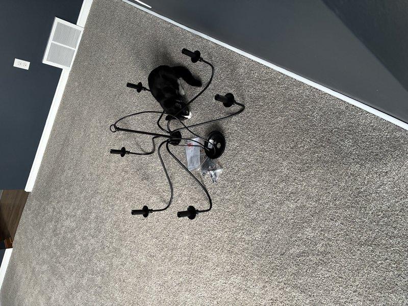 Successfully installed customer-provided chandelier-style light fixture in two-story foyer. Mounted decorative multi-arm fixture with glass shades to ceiling, replacing previous fixture. All connections were properly secured and fixture was tested for functionality.