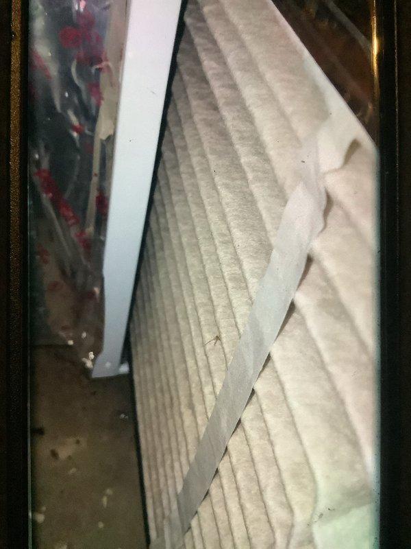 Performed scheduled MVP furnace maintenance service. Conducted static pressure testing with EM201B digital manometer (reading: 1694), and inspected filter condition. Pleated filter appears functional with normal accumulation of debris.