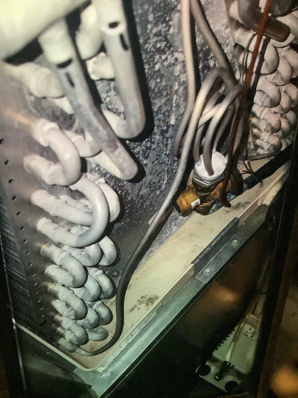 Performed maintenance service on a 2-year-old gas furnace. Discovered significant dust accumulation on evaporator coils and inspected control board connections for proper functionality. Evaluated ductwork condition and recommended professional cleaning to improve system efficiency and air quality.