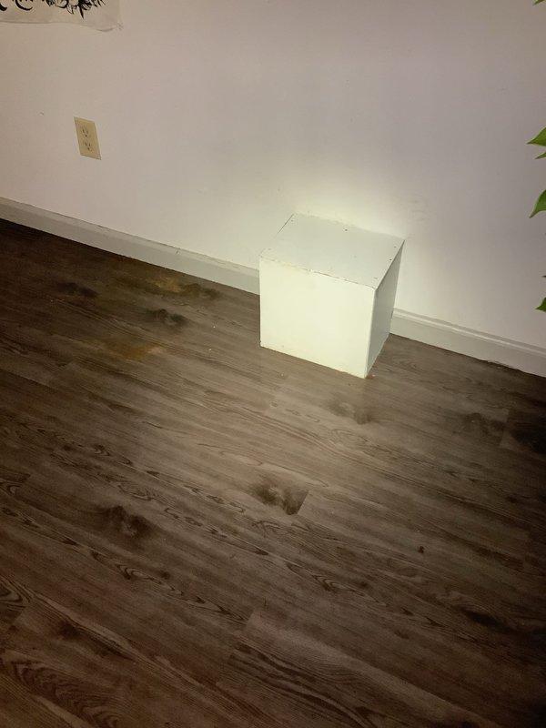 Responded to service call for main line backup. Inspected the drain system and performed a main line cleanout procedure to restore proper drainage function. Successfully cleared the blockage and verified normal flow resumed.