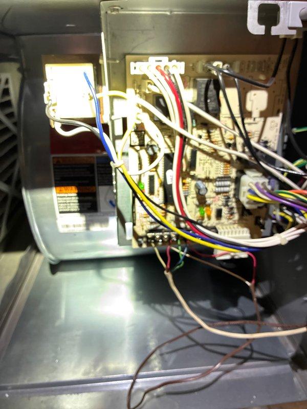 Performed comprehensive furnace tune-up service including inspection of control board connections and electrical components. Verified proper terminal connections and wire routing integrity within the control panel. Used specialized tool to check and secure critical fasteners throughout the system.