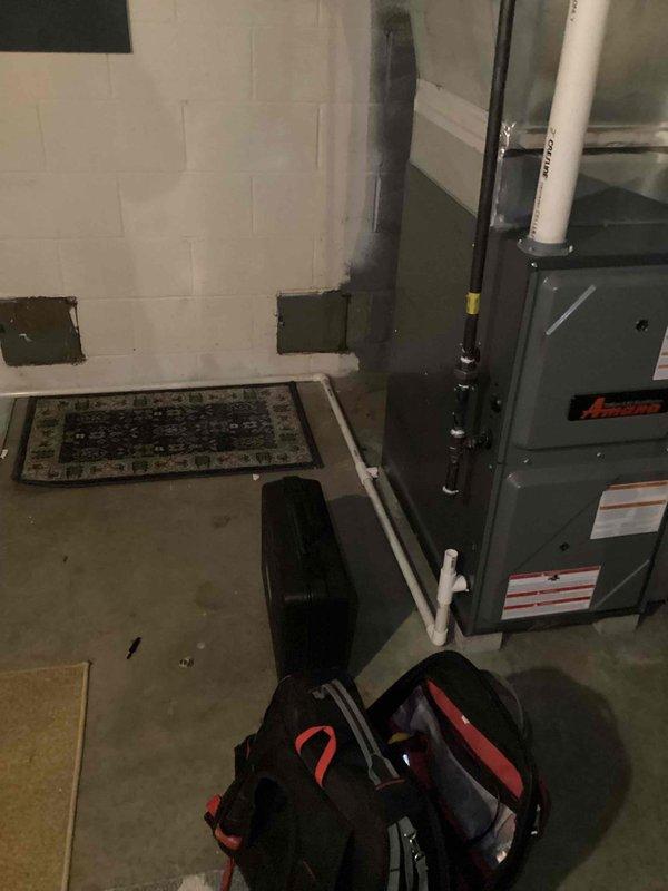 Performed scheduled furnace tune-up on 5-year-old system. Inspected control board and wiring connections, confirming proper functionality of all electronic components. Examined complete system installation in utility room, verifying appropriate PVC venting configuration and overall unit condition. No issues identified; system operating within manufacturer specifications.