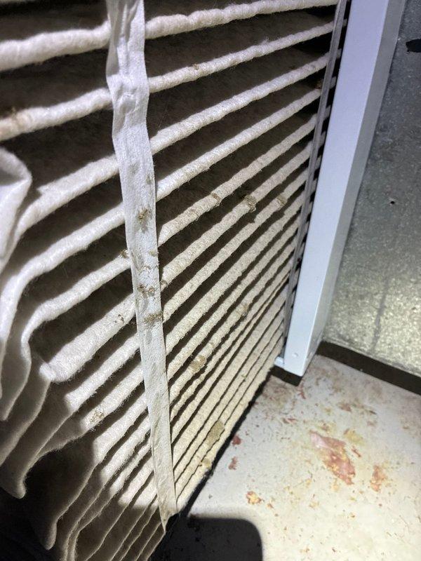 Performed annual furnace maintenance service. Replaced heavily soiled air filter showing significant dirt accumulation and discoloration. Conducted system inspection using specialized tools to check internal components and ensure proper functionality.