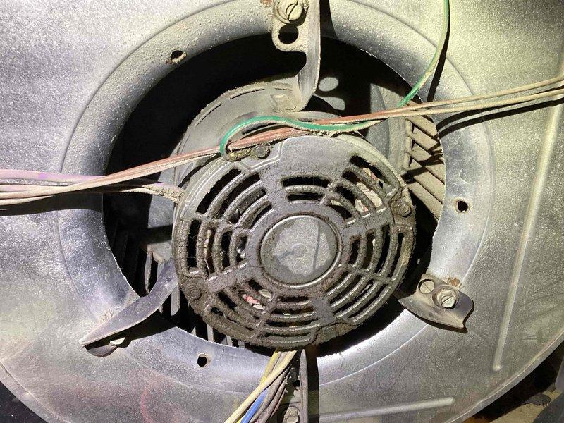 Performed diagnostic service on 15+ year old natural gas furnace reported for motor noise. Inspection revealed significant dust accumulation on the blower motor assembly, with particular buildup on the motor housing and ventilation slots. Cleaned blower motor components and verified proper electrical connections to resolve the noise issue and restore normal operation.